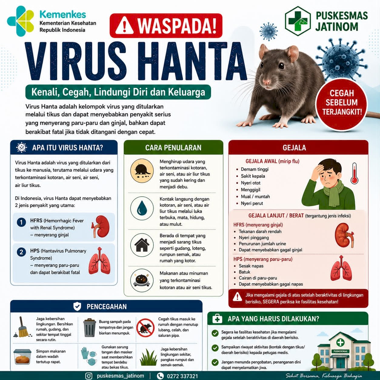WASPADA!!! VIRUS HANTA